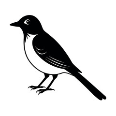 white eared bulbul