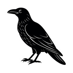 white necked raven