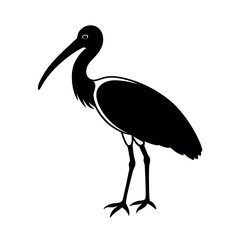Fototapeta premium wood stork 