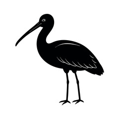 yellow billed spoonbill