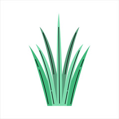 Spring Green Grass Blades