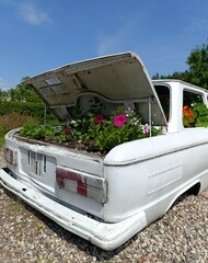 an unusual flower bed, an old car as a flower bed, a botanical garden