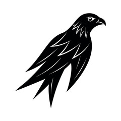 black kite