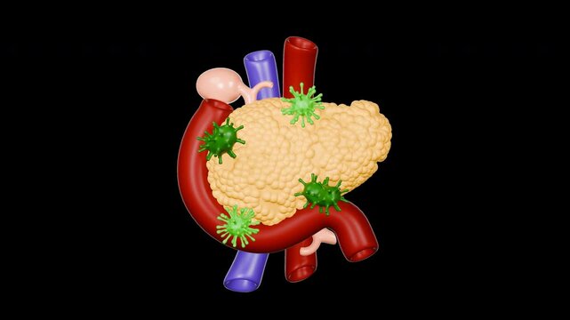 3D Cute Stylized Pancreas Disease Animation | 4K | Alpha Channel | Transparent | 6s