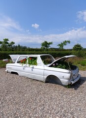 an unusual flower bed, an old car as a flower bed, a botanical garden