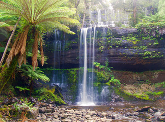 Beautiful cascade