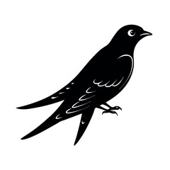 purple martin