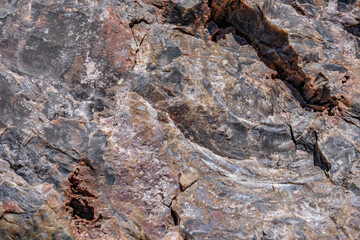 Araucarioxylon arizonicum. Petrified wood  is  a special type of fossilized wood, the fossilized remains of terrestrial vegetation. Crystal Forest Trail, Petrified Forest National Park,  Arizona