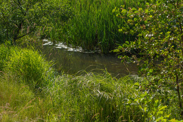 Small river Grabia in central Poland.