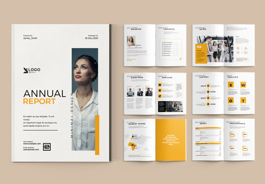 Professional Annual Report Brochure Design Layout
