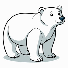 Fototapeta premium polar bear vector illustration