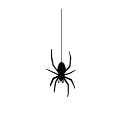 Spider hanging