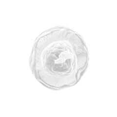 Lymphocyte White blood cells with transparency membrane and large nucleus Isolated transparent