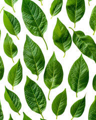 Fototapeta premium Lush green leaves on black background vibrant foliage pattern