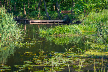 Small river Grabia in central Poland.