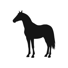 Obraz premium A black silhouette of a standing horse, side view, against a white background.
