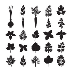 Twenty Five Black Silhouettes of Herbs and Vegetables on White Background Onion Carrot Parsley Basil Dill
