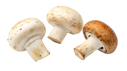 Fresh mushrooms isolated on transparent background