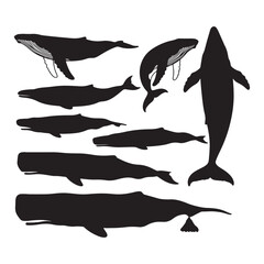 Various black whale silhouettes with detailed linework on one humpback whale sperm whale