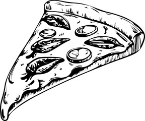 Slice of pizza with anchovies and herbs on a white background
