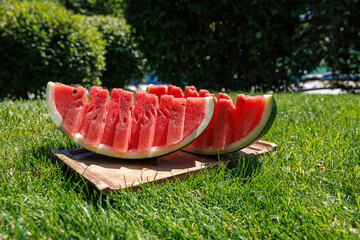 Juicy slices of ripe watermelon arranged on green grass, capturing the essence of summer freshness....