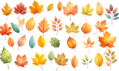 Obraz premium Bright seamless autumn maple and oak leaves pattern in colorful colors vector illustration