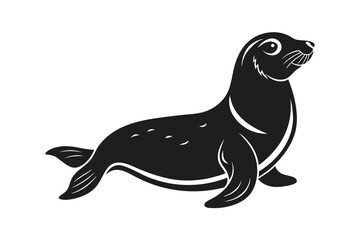 sea lion seal vector illustration on white background
