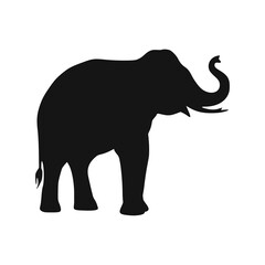 Obraz premium A majestic Asian elephant silhouette, trunk raised, stands against a white background.