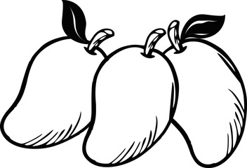 vector illustration of a mango