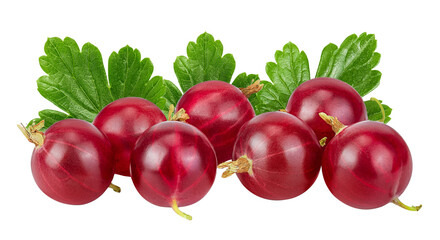 Red gooseberry isolated on white background with full depth of field.