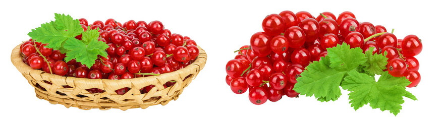Red currant berries in a wicker basket isolated on white background