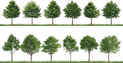 Realistic deciduous tree collection, front view trees set, green foliage elements for landscape design, isolated tree pack illustration, garden forest greenery assets