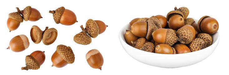 Brown acorn oak nut in ceramic bowl isolated on white background. Top view. Flat lay © kolesnikovserg