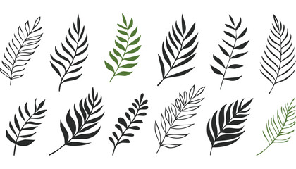 Set of hand drawn tropical leaves. Silhouettes of abstract branches in minimalist style. Vector illustration in black white colors.leaf, outline, abstract, illustration, botany, monstera, nature, 