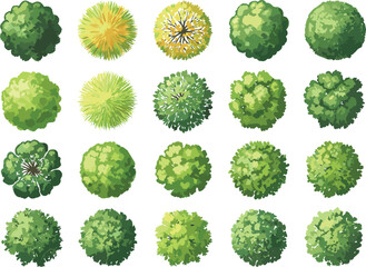 Top view cartoon trees and green bushes set, flat landscape elements collection, foliage clipart bundle, garden design plants, vector nature icon pack