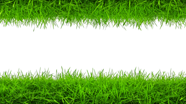 Realistic green grass isolated on white. Fresh green grass isolated over a transparent background. ecology freshness field lawn. mockup template. Natural spring summer decoration design elements, PNG 
