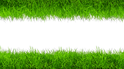 Realistic green grass isolated on white. Fresh green grass isolated over a transparent background. ecology freshness field lawn. mockup template. Natural spring summer decoration design elements, PNG 