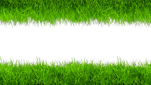 Realistic green grass isolated on white. Fresh green grass isolated over a transparent background. ecology freshness field lawn. mockup template. Natural spring summer decoration design elements, PNG 