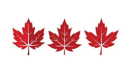 Three Red Maple Leaves on White Background Representing Canada