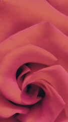 Background made of red rose petals. Beautiful backdrop, suitable for love and nature, romantic theme. Close-up of a deep red rose, detailed petals