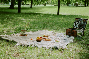 Picnic blanket with plates, glasses, fruit, snacks, wicker basket and pitcher arranged on grass in park, no people visible, outdoor family gathering setup in natural setting
