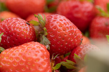 Fresh Juicy Strawberries Piled Together Highlighting Vibrant Red and Green Coloring