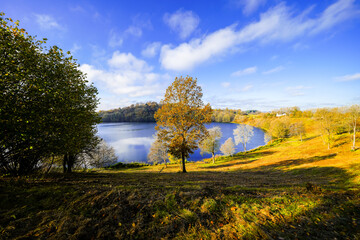 View of the Weinfelder Maar and the surrounding landscape. Nature in the Eifel region in autumn. Totenmaar near Daun.
