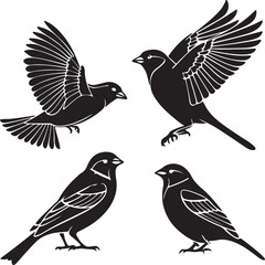 Fototapeta premium Bird Silhouette Vector Icon Design – Flying Animal Outline Graphic for Nature and Wildlife Themes