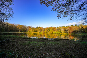 View of the Windsborn Kratersee and the surrounding landscape. Nature at the lake in the Eifel...