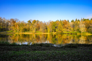View of the Windsborn Kratersee and the surrounding landscape. Nature at the lake in the Eifel...
