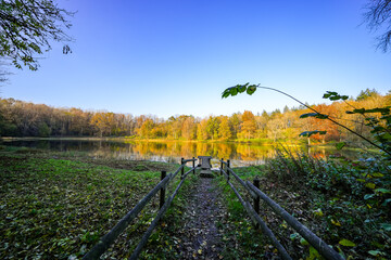 View of the Windsborn Kratersee and the surrounding landscape. Nature at the lake in the Eifel...