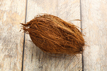 Natural exotic brown hairy coconut