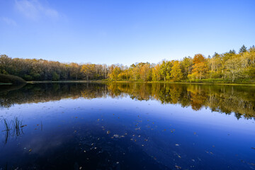 View of the Windsborn Kratersee and the surrounding landscape. Nature at the lake in the Eifel...