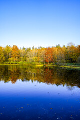 Obraz premium View of the Windsborn Kratersee and the surrounding landscape. Nature at the lake in the Eifel region in autumn at the volcanic crater near Bettenfeld. 